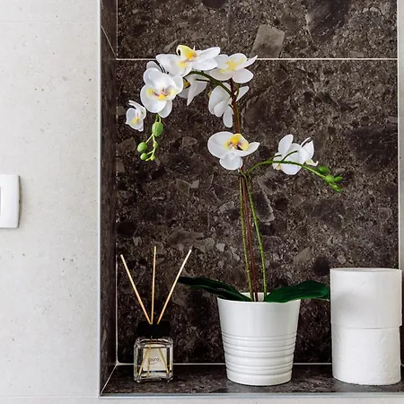 شقة Yin & Yang دوبروفينك